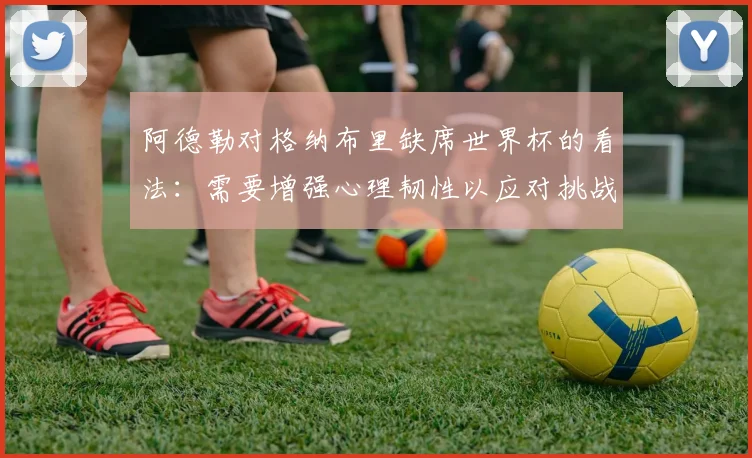 阿德勒对格纳布里缺席世界杯的看法：需要增强心理韧性以应对挑战