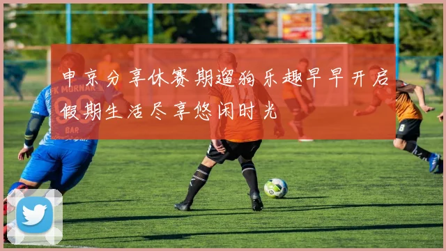 申京分享休赛期遛狗乐趣早早开启假期生活尽享悠闲时光